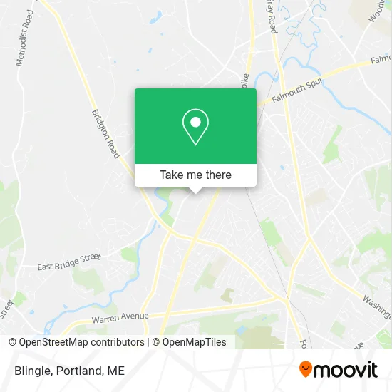 Blingle map