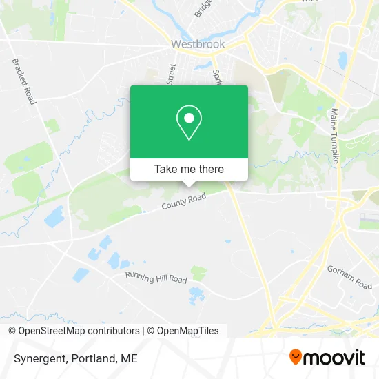 Synergent map