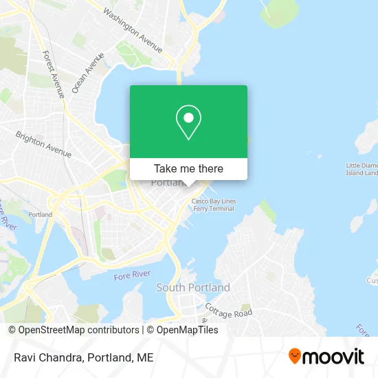 Ravi Chandra map