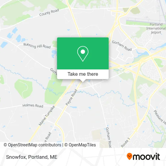 Snowfox map