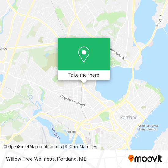 Willow Tree Wellness map