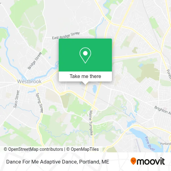 Dance For Me Adaptive Dance map