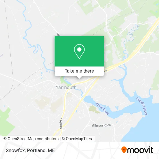 Snowfox map