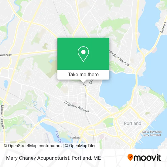 Mary Chaney Acupuncturist map