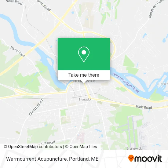 Warmcurrent Acupuncture map