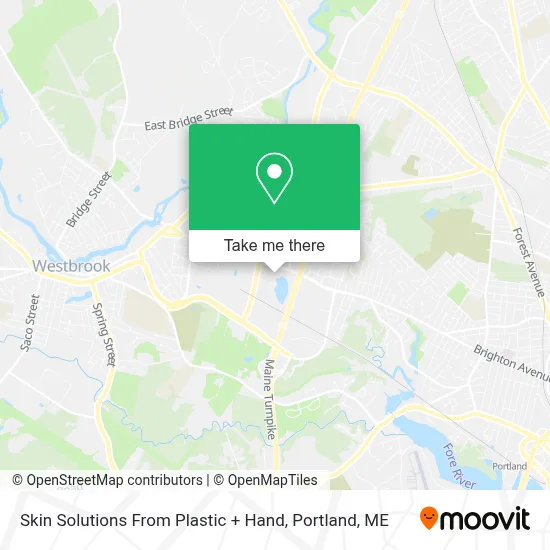 Skin Solutions From Plastic + Hand map