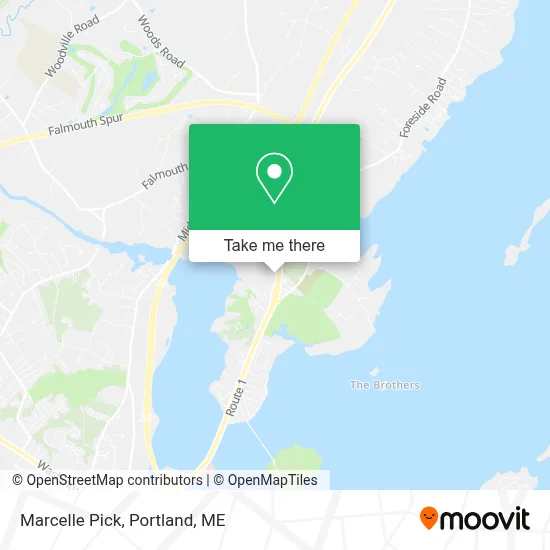 Marcelle Pick map