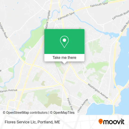 Flores Service Llc map