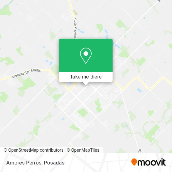 Amores Perros map