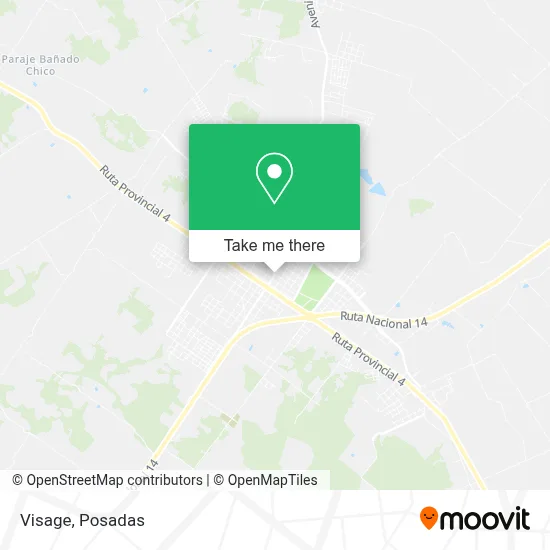 Visage map