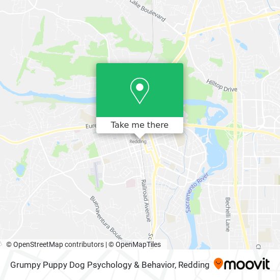 Mapa de Grumpy Puppy Dog Psychology & Behavior