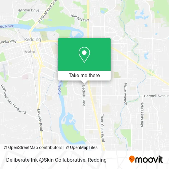 Deliberate Ink @Skin Collaborative map