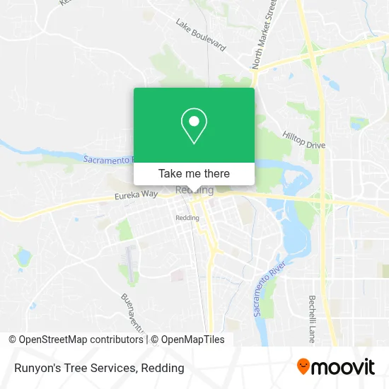 Runyon's Tree Services map