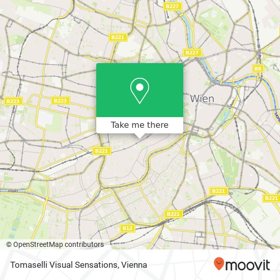 Tomaselli Visual Sensations map