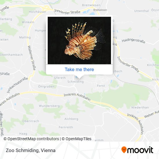 Zoo Schmiding map