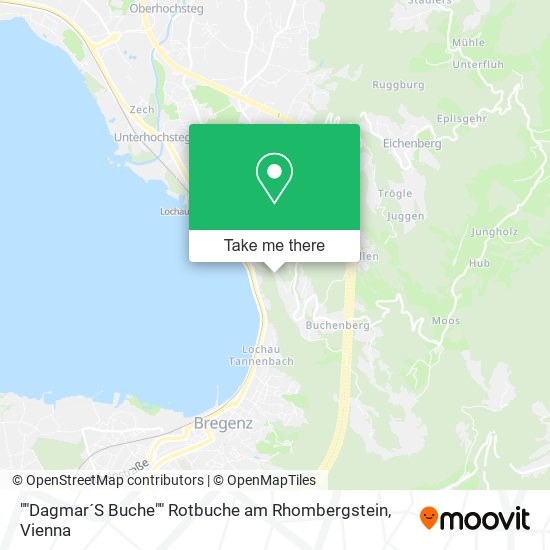 ""Dagmar´S Buche"" Rotbuche am Rhombergstein map