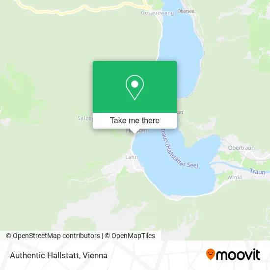 Authentic Hallstatt map