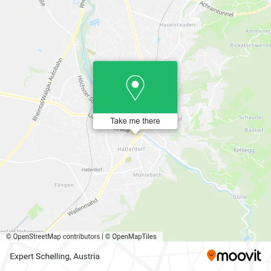 Expert Schelling map