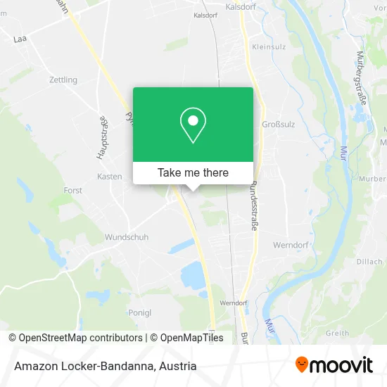 Amazon Locker-Bandanna map