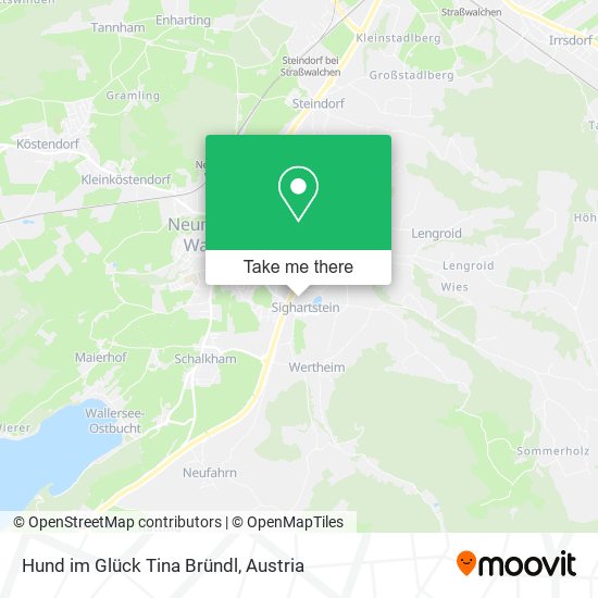 Hund im Glück Tina Bründl map