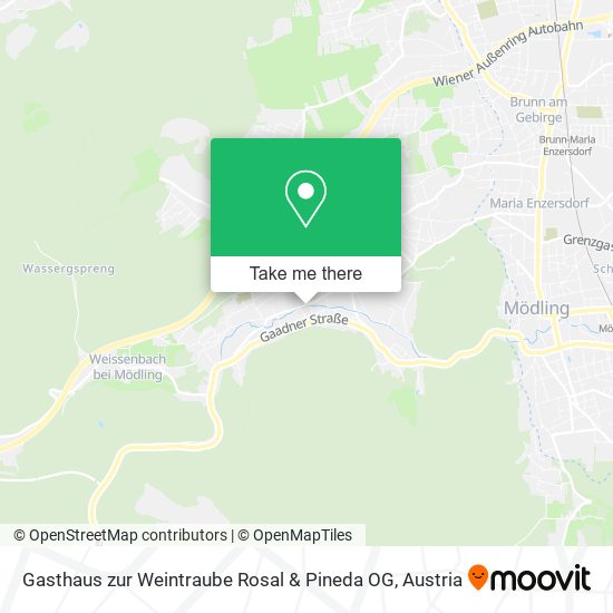 Gasthaus zur Weintraube Rosal & Pineda OG map