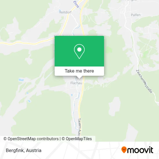 Bergfink map