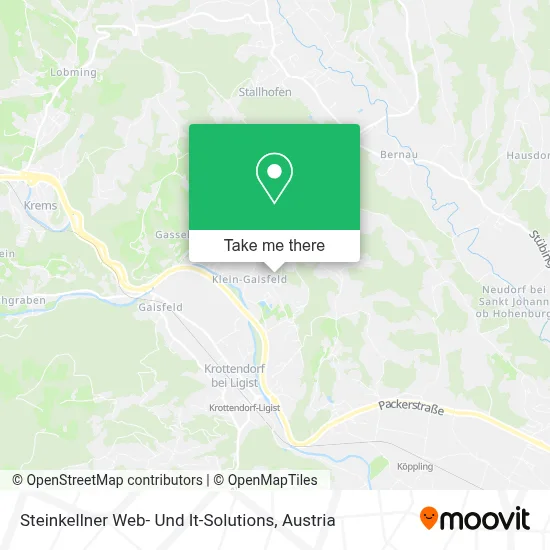 Steinkellner Web- Und It-Solutions map