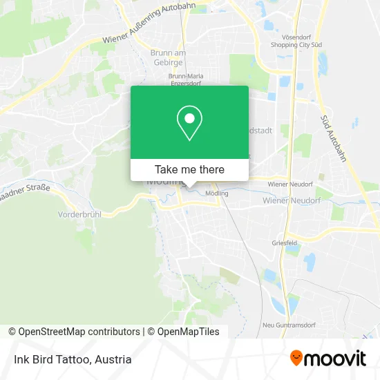 Ink Bird Tattoo map