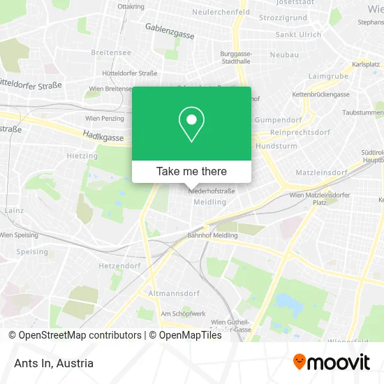 Ants In map