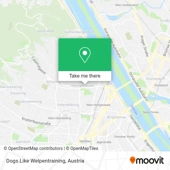 Dogs.Like Welpentraining map