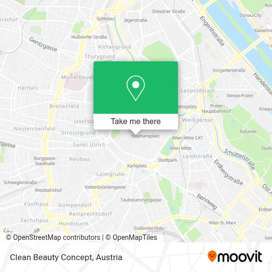 Clean Beauty Concept map