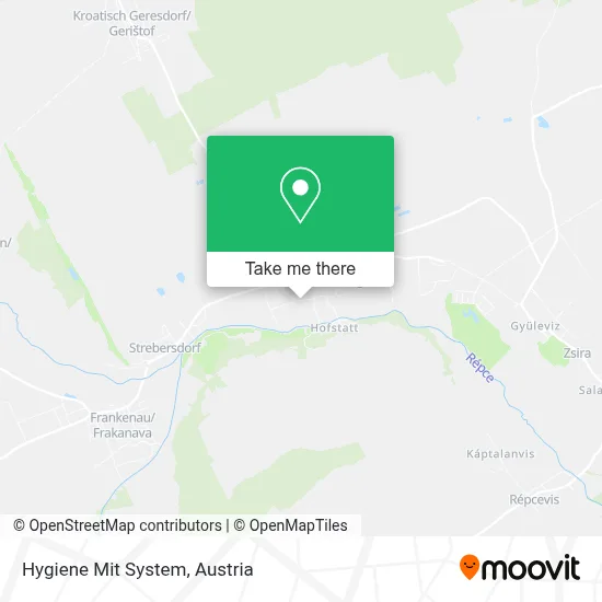 Hygiene Mit System map