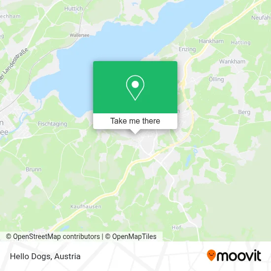 Hello Dogs map