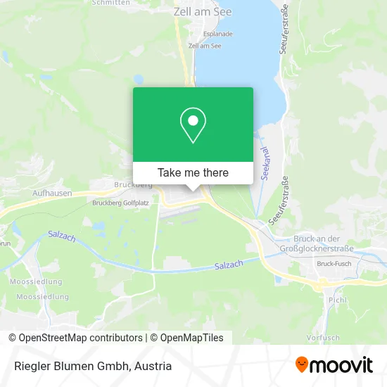 Riegler Blumen Gmbh map