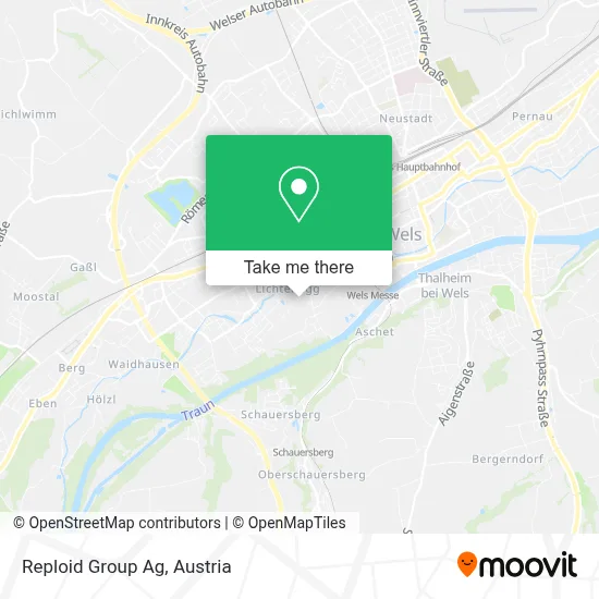 Reploid Group Ag map