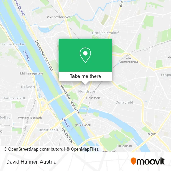 David Halmer map