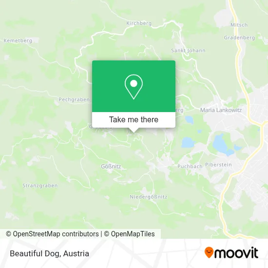 Beautiful Dog map