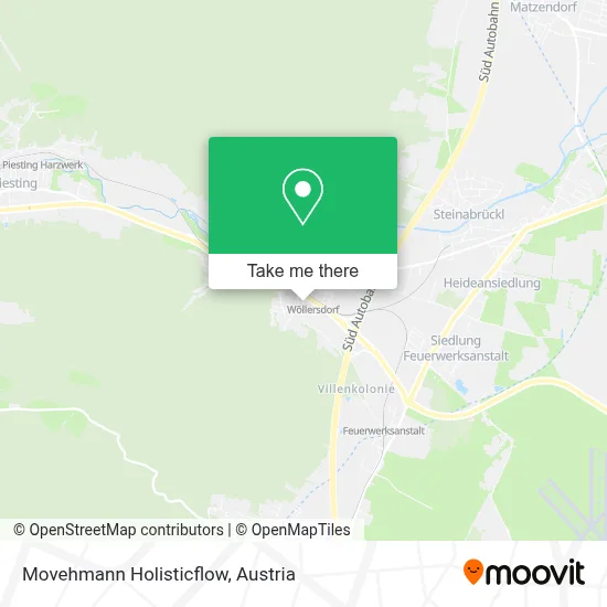 Movehmann Holisticflow map