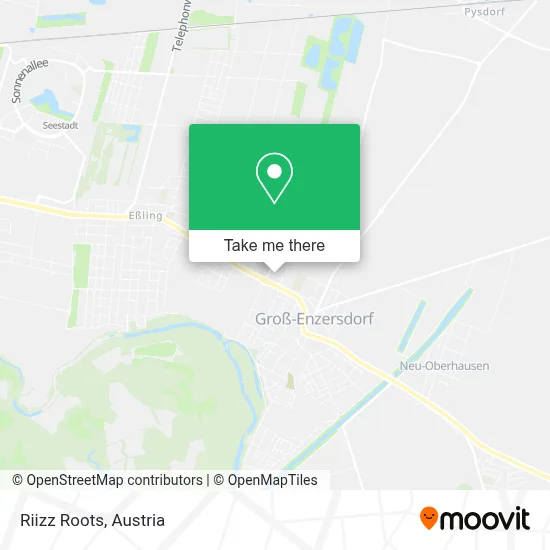 Riizz Roots map