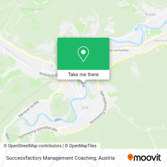 Successfactory Management Coaching map