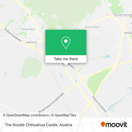 The Royals Chihuahua Castle map