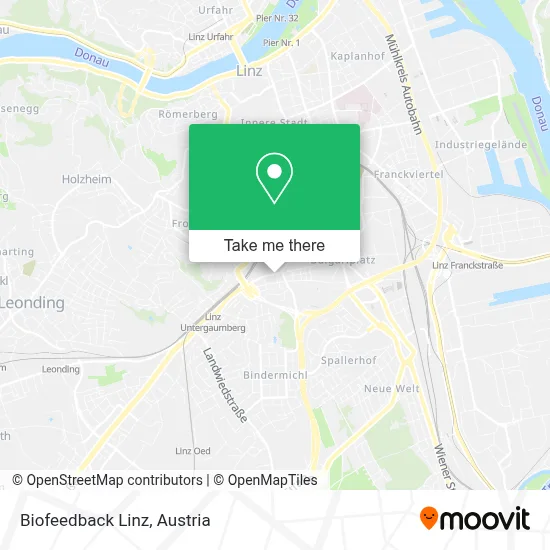 Biofeedback Linz map