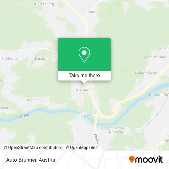 Auto-Brunner map