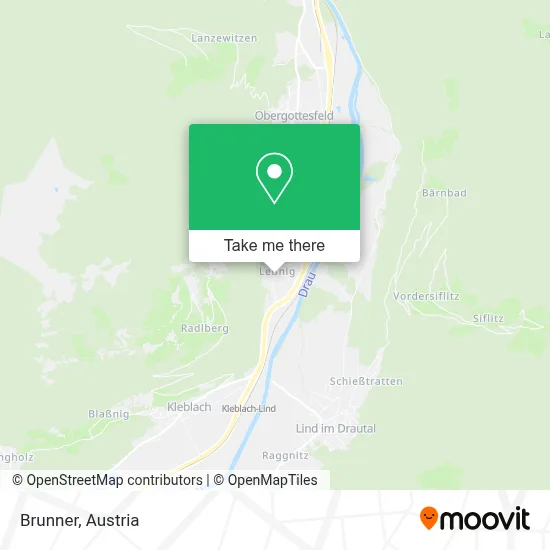 Brunner map