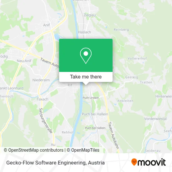 Gecko-Flow Software Engineering map