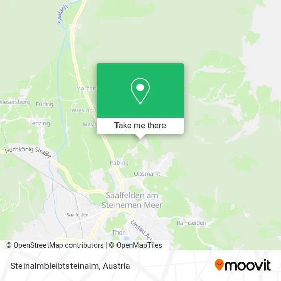 Steinalmbleibtsteinalm map