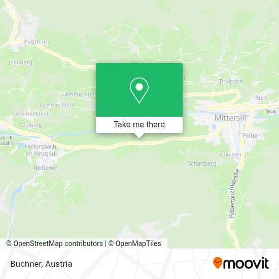 Buchner map