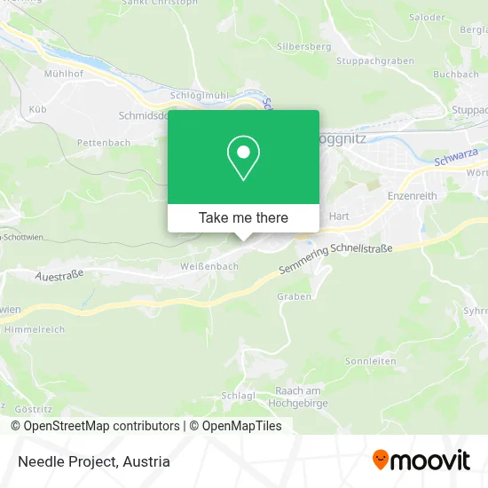 Needle Project map