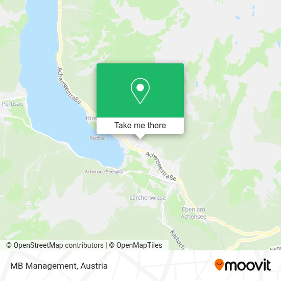 MB Management map