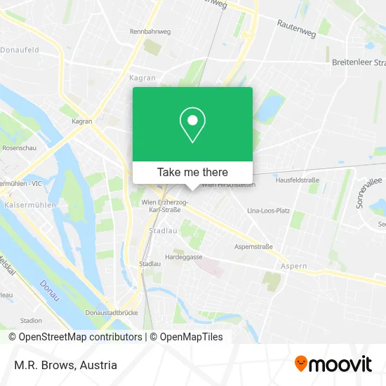 M.R. Brows map